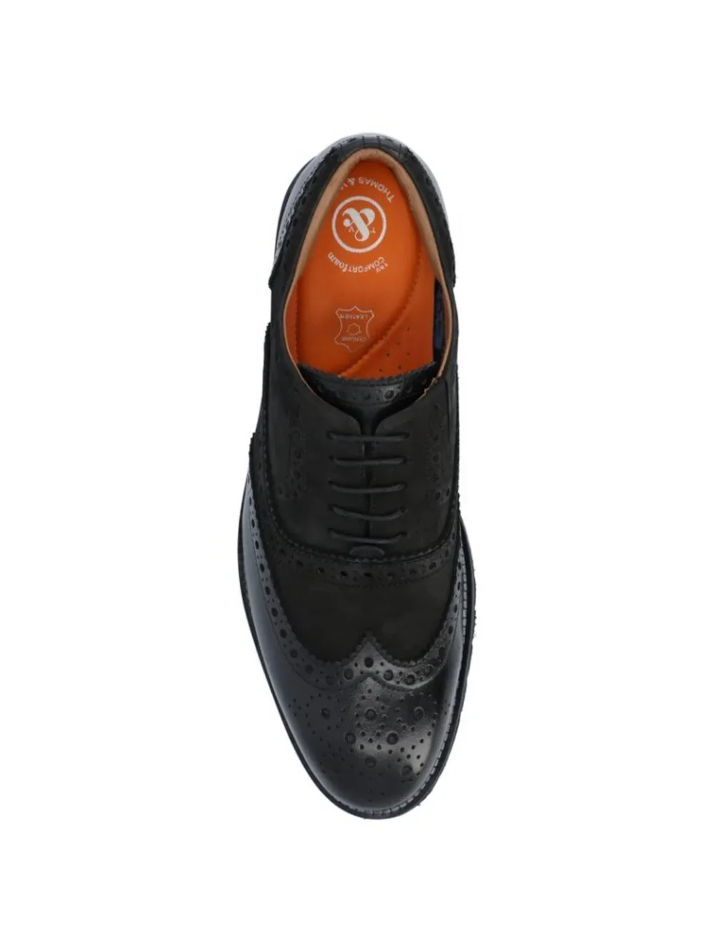 NWT Men's Thomas & Vine Covington Black Brogue Oxford M9M